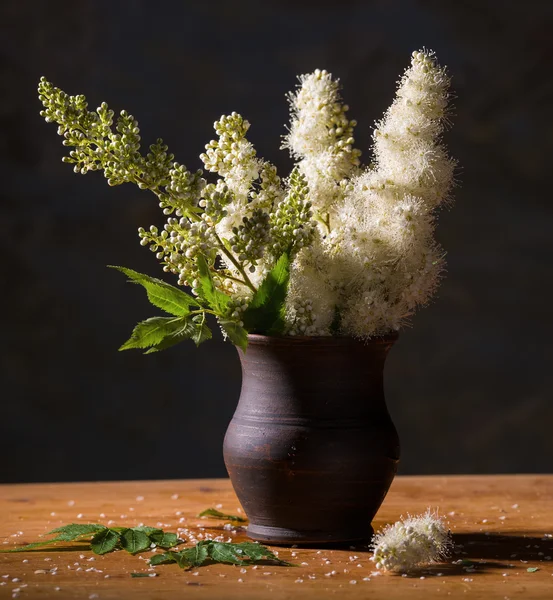 Stilleben med vackra vita blommor — Stockfoto