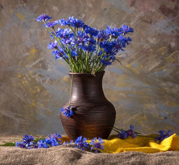 Beautiful blue cornflowers — Stock Photo, Image