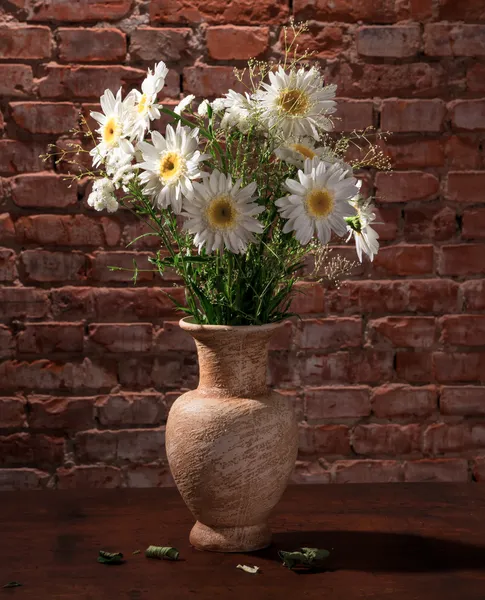 Bouquet of daisies — Stock Photo, Image