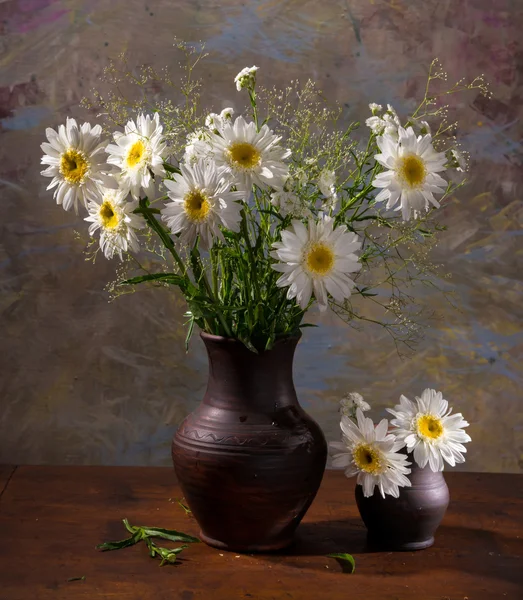 Bouquet of daisies — Stock Photo, Image