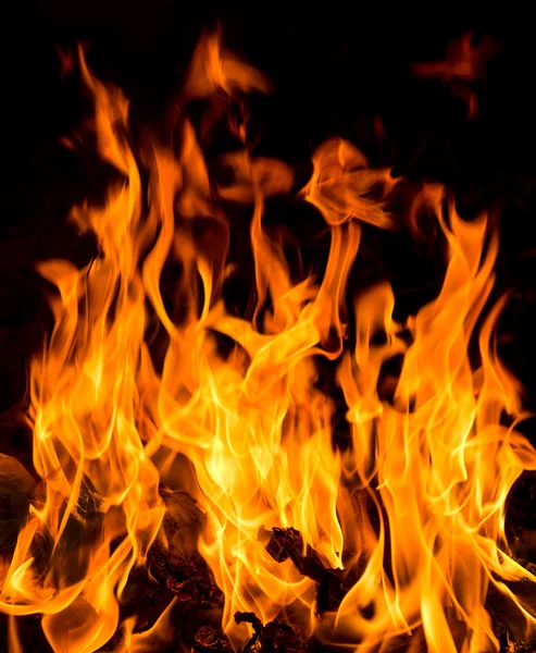 Orange fire flames — Stock Photo, Image