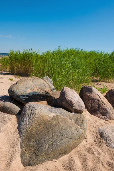 Escena de naturaleza con piedras — Foto de Stock