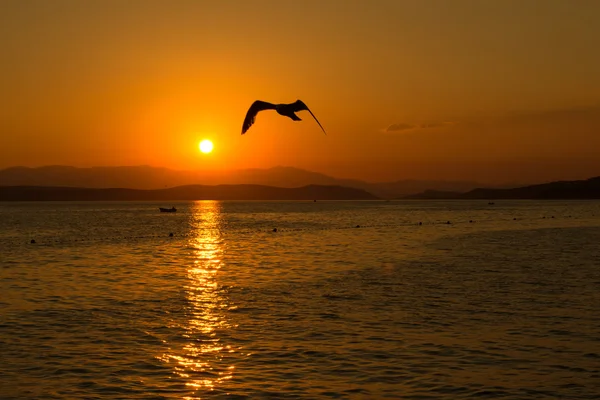 Puesta de sol —  Fotos de Stock