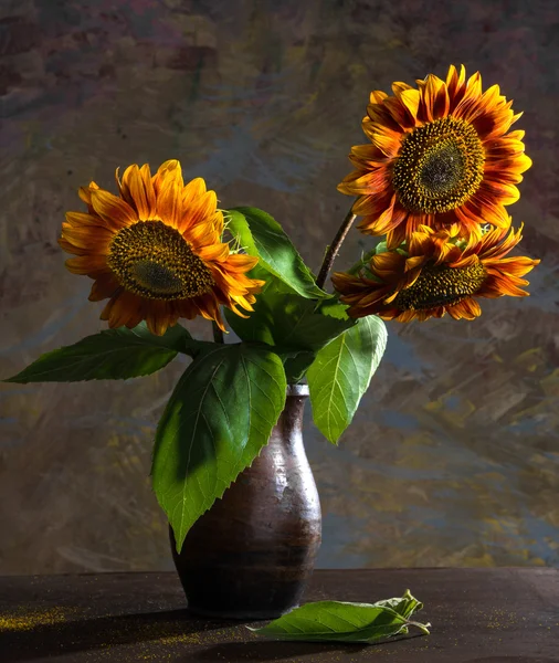 Belos girassóis em um vaso — Fotografia de Stock