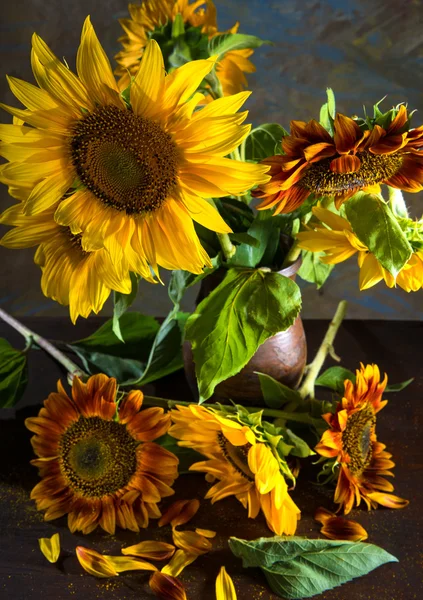 Beautiful sunflowers in a vase — Stock Photo, Image