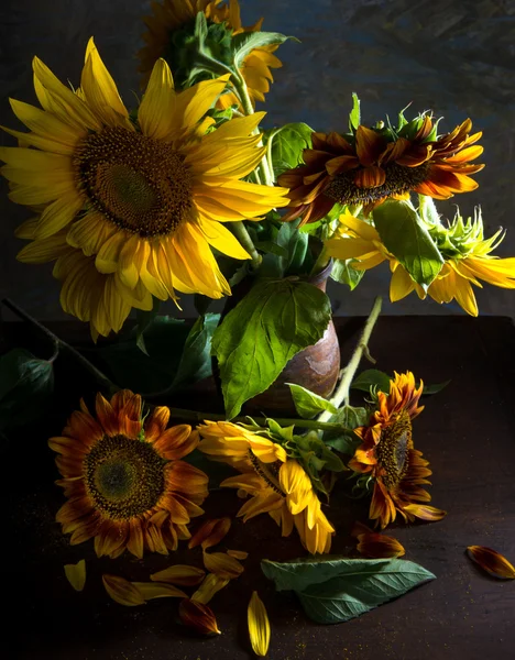 花瓶に美しいヒマワリ — ストック写真
