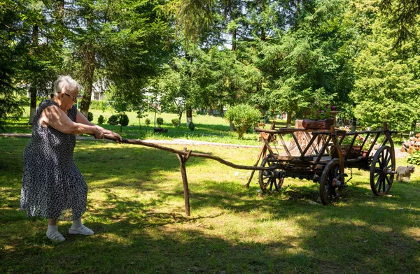 Old woman pulling a cart — Stock Photo, Image
