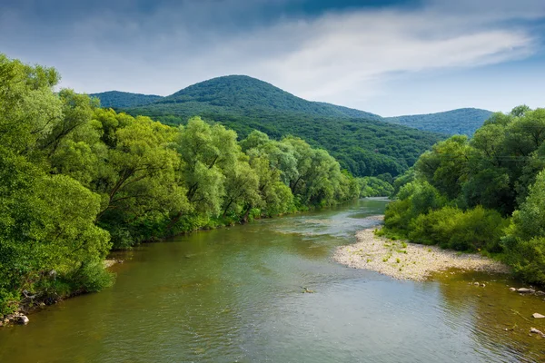 Rio da montanha na floresta — Fotografia de Stock