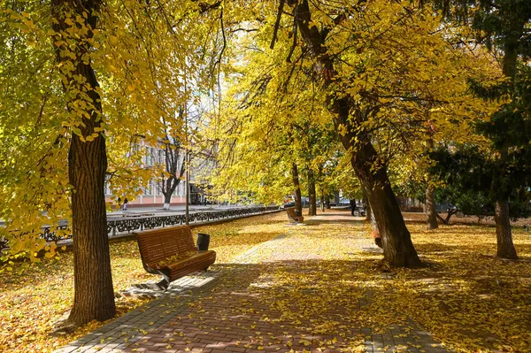 Uzhhorod Ukraine October 2021 Autumn Park Fallen Yellow Leaves Pavement — Stock Photo, Image