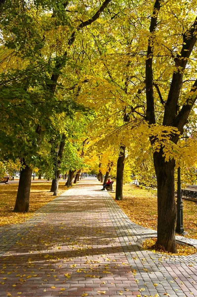 Uzhhorod Ukraine October 2021 Autumn Park Fallen Yellow Leaves Pavement — Stock Photo, Image