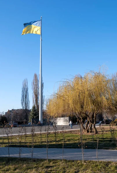 Użhorod Ukraina Marca 2022 Ukraińska Flaga Trzepocze Tle Błękitnego Nieba — Zdjęcie stockowe