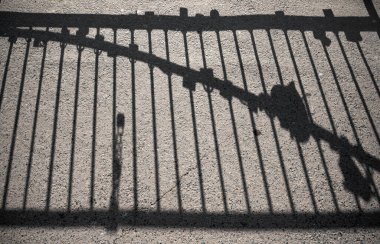 Kaldırımda geometrik desenli çit gölgesi