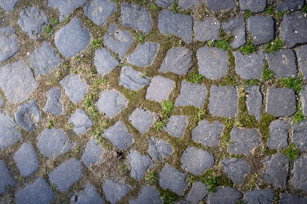 古い装飾石膏やコンクリートの質感 デザインのための抽象石膏の背景 — ストック写真