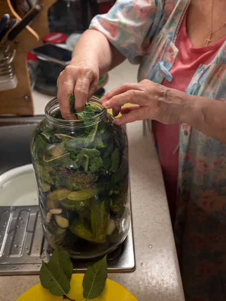Woman Preparing Cucumbers Marinating Garlic Dill — Stock Photo, Image