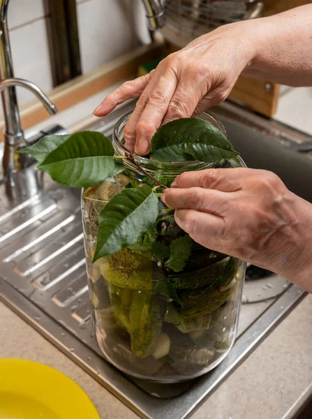 Mulher Preparando Pepinos Para Marinar Com Alho Endro — Fotografia de Stock