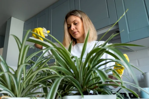 Vrouw tuinieren neemt zorg huis planten in de keuken Rechtenvrije Stockfoto's