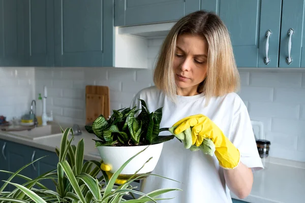 Vrouw tuinieren neemt zorg huis planten in de keuken Stockfoto