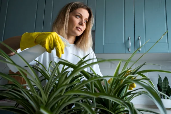 Vrouw tuinieren neemt zorg huis planten in de keuken Rechtenvrije Stockfoto's