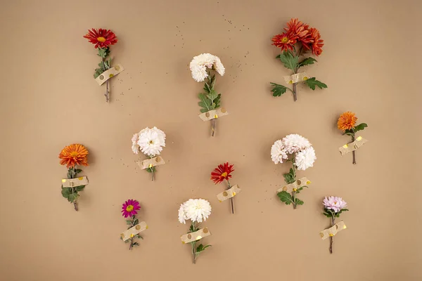 Minimale bloemen mock up op aardetinten Achtergrond Stockafbeelding
