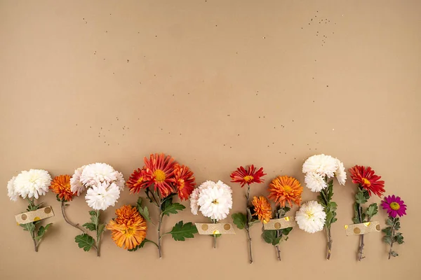 Minimale bloemen mock up op aardetinten Achtergrond Stockfoto