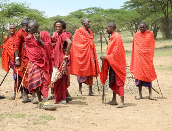 Masajští bojovníci, tanec — Stock fotografie