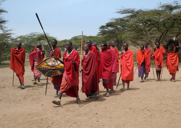 Guerreros de la tribu Masai — Foto de Stock