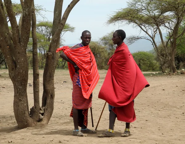 Guerrieri Masai Foto Stock