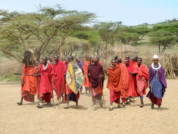 Tribù Masai Immagini Stock Royalty Free
