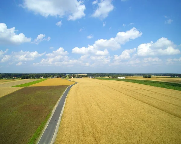 Landstraße Mit Grünen Feldern Und Blauem Himmel — Stockfoto