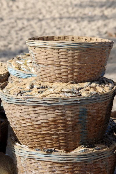 Wicker Basket Beach Filled Dried Fish — Stock Photo, Image