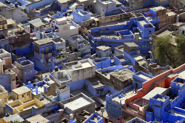 Seyahat Hindistan: Jodhpur - mavi şehir