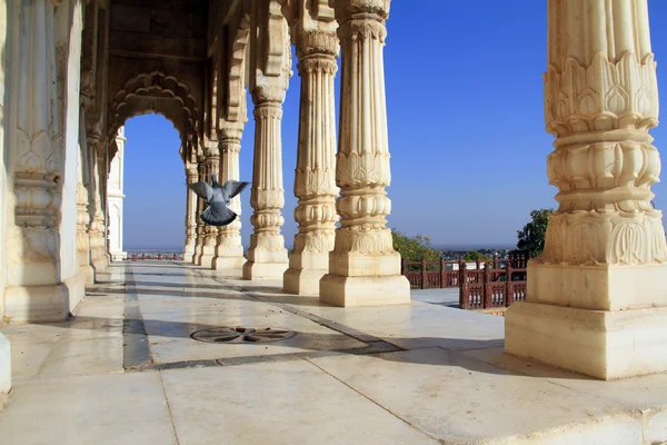 Colonade of white marble columns with flying pigeon — Stock Photo, Image