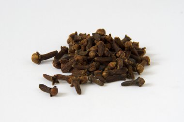 karanfil beyaz zemin üzerine