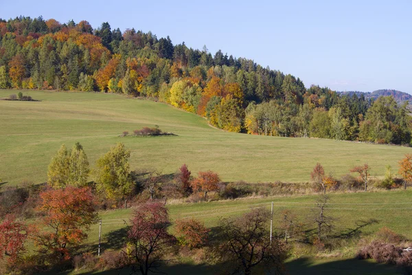 Paisaje otoñal con colinas y árboles coloridos —  Fotos de Stock