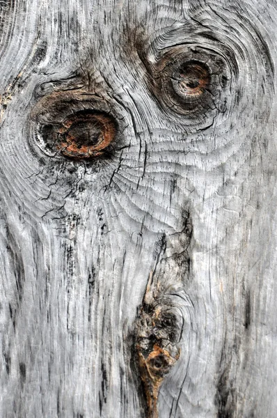 Wood face — Stock Photo, Image