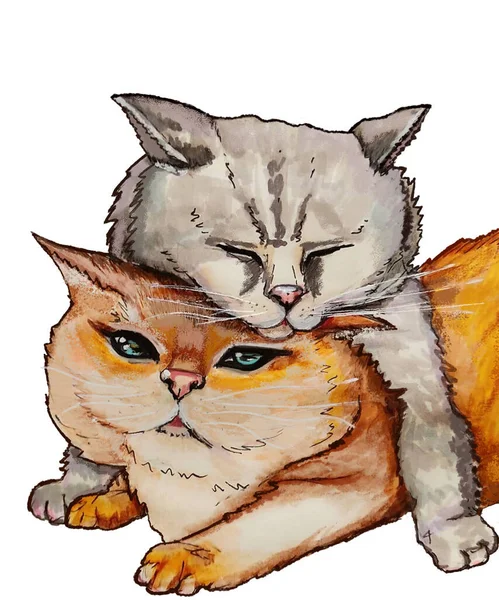 Kırmızı kediye sarılan gri bir kedinin suluboya çizimi