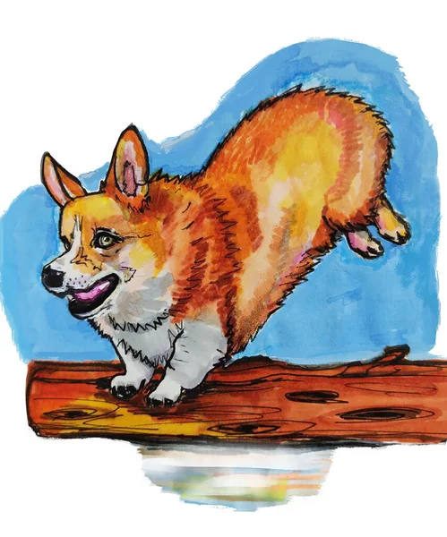 Bir suluboya kırmızı Corgi köpeği kütüğün üzerinden atlar. Arkaplan beyaz ve mavi