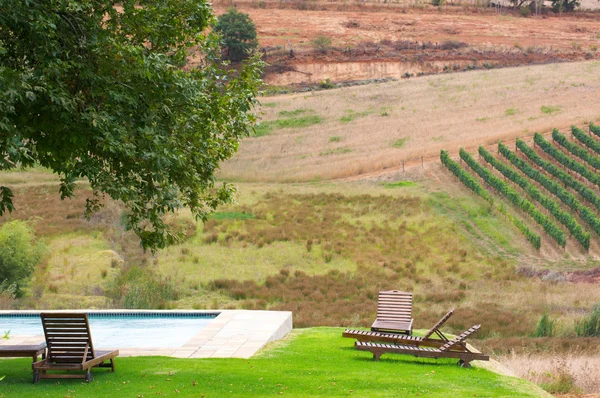 Stellenbosch, the heart of the wine growing region in South Afri — Stock Photo, Image