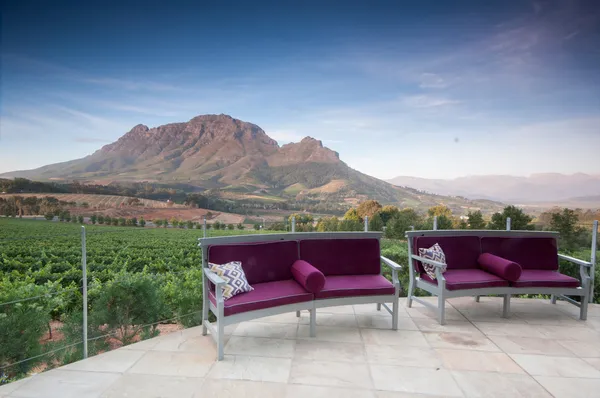 Stellenbosch, Güney afri şarap büyüyen bölgesinin