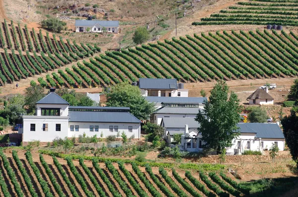 Vinhedos da região vinícola de Stellenbosch fora da Cidade do Cabo Sul — Fotografia de Stock