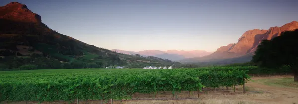 Stellenbosch, Cabo Occidental, Sur de África — Foto de Stock