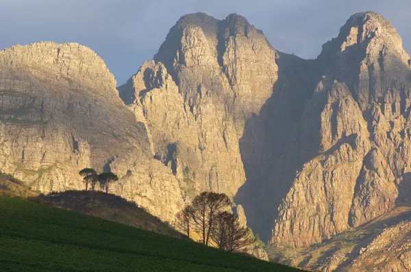 Vue générale du paysage dans la région viticole de Stellenbosch, ouest du C — Photo