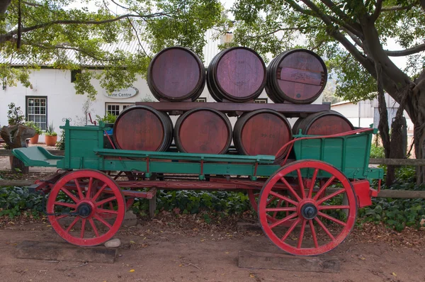 The Stellenbosch wine lands region near Cape Town — Stock Photo, Image