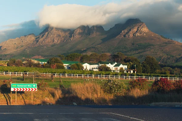 Vinhedos, Stellenbosch, África do Sul — Fotografia de Stock