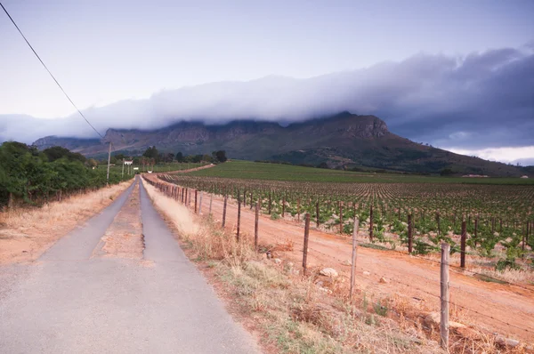 Víno stellenbosch přistane oblast nedaleko Kapského města — Stock fotografie