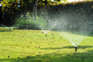 Açık hava bahçesinin bulanık arka planıyla çim tarlasının etrafına serpiştirilen serpintiye odaklan.