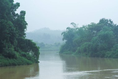 Nehrin manzarası, havada sisle birlikte orman boyunca akar.