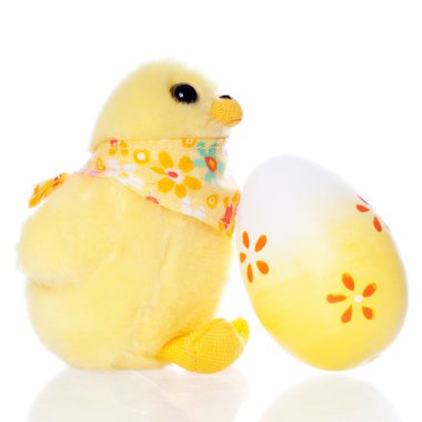 Paskalya yumurtası ve tavuk