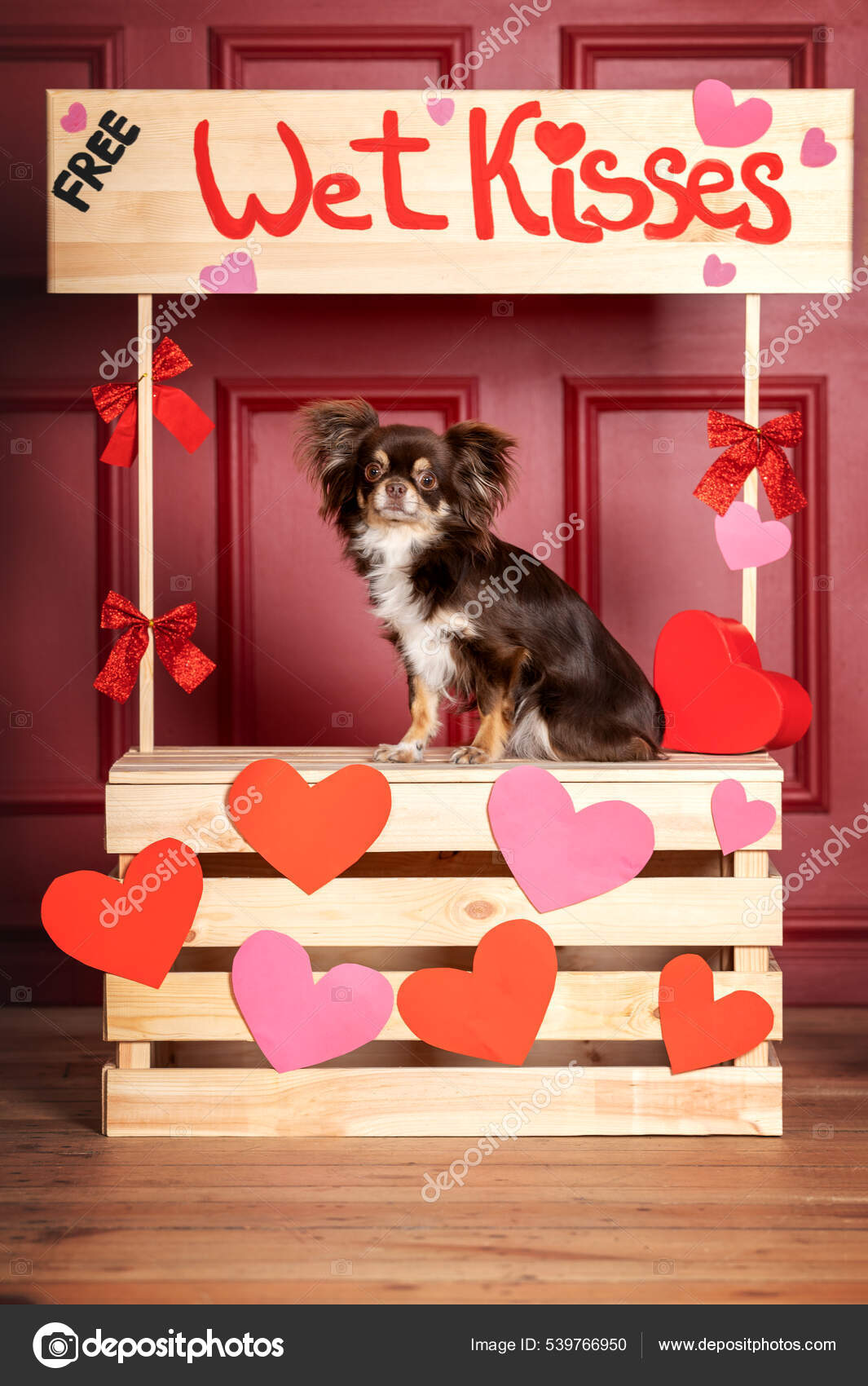 Chihuahua Dog Kissing Booth Stock Photo by ©otsphoto 539766950
