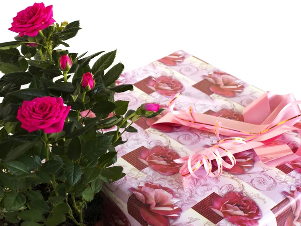 Schachtel mit einem Geschenk und einem Strauß Rosen — Stockfoto